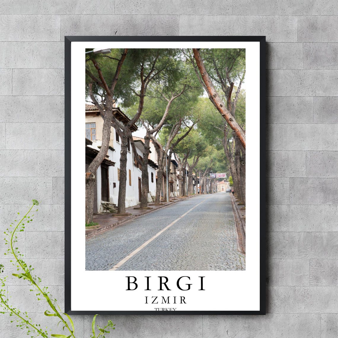 Birgi Izmir Turkey Tree Lined Cobblestone Street Travel Poster