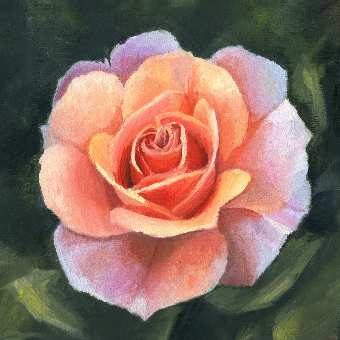 Peach Rose Bloom Close-Up Still Life Floral Oil Painting Poster - Image 5