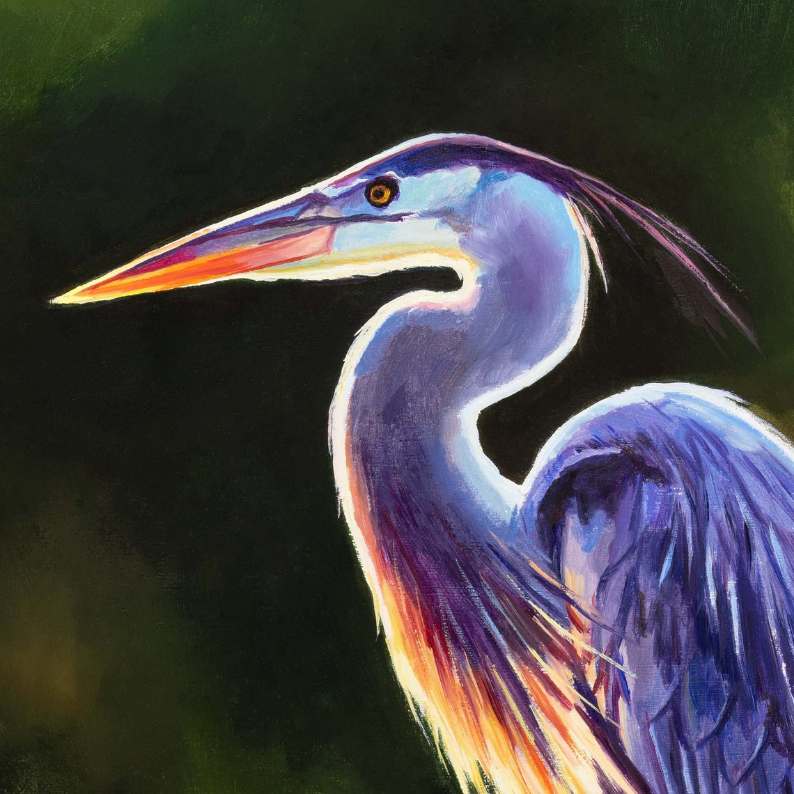 Great Blue Heron in Golden Backlight Standing in Profile Poster - Image 3
