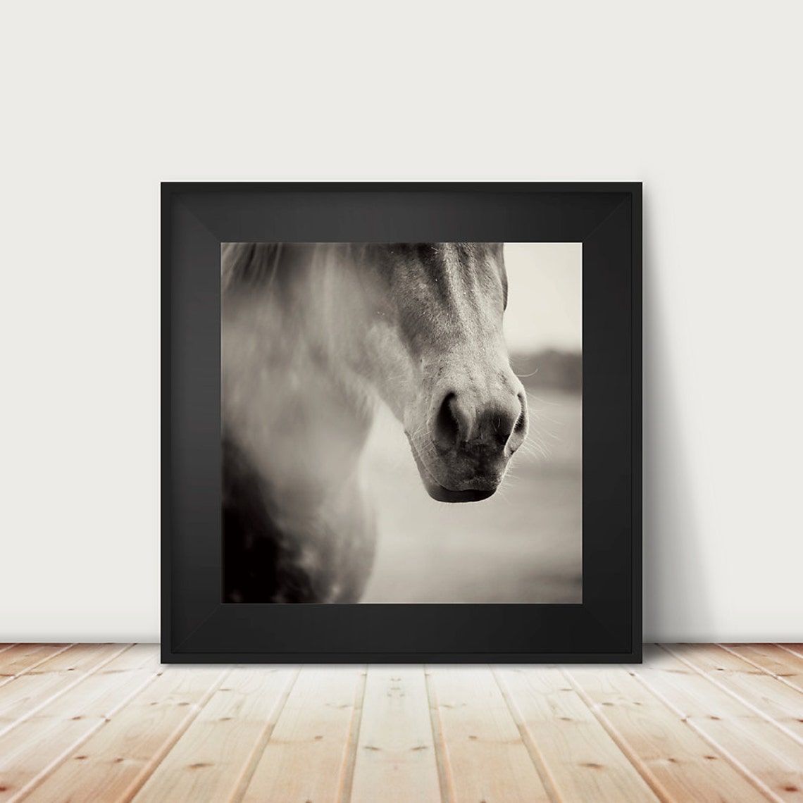Black and White Horse Muzzle Close Up Portrait Photography Poster