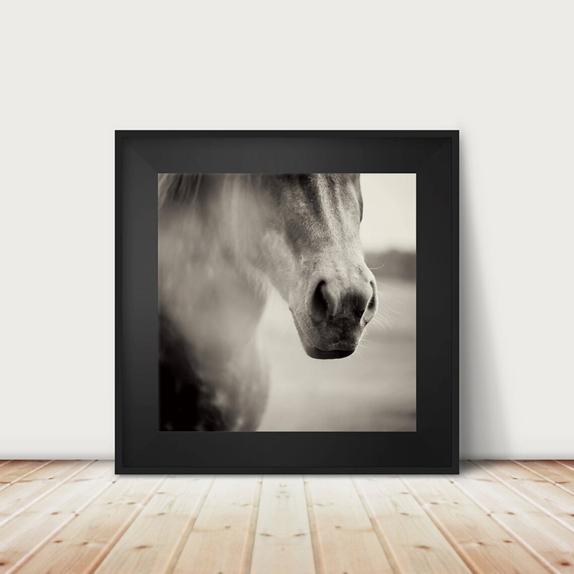 Sale Black And White Horse Photograph Animal Photography Portrait Decor Farmhouse Discounted Art