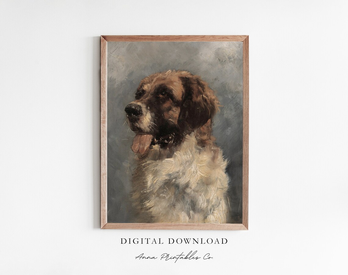 Saint Bernard Antique Dog Portrait, Vintage Wall Art Print