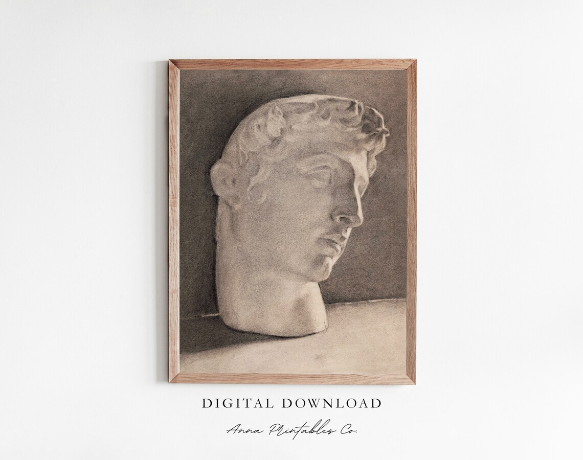 Vintage Classical Greek Statue Bust Art Print