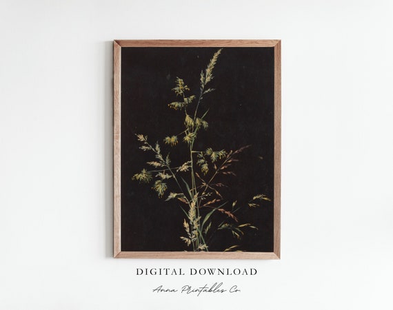 Antique Botanical Painting Wall Art Print Moody Botanical Art Dark Academia Decor Vintage Prints Dark Floral