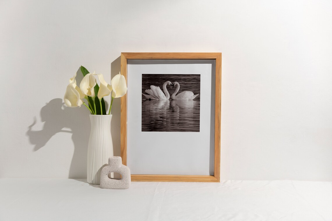 Two Swans Heart Necks Black White Romantic Love Photo Poster