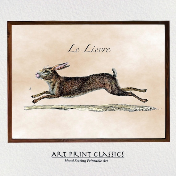 Folk Art Rabbit Watercolor Illustration Art Print