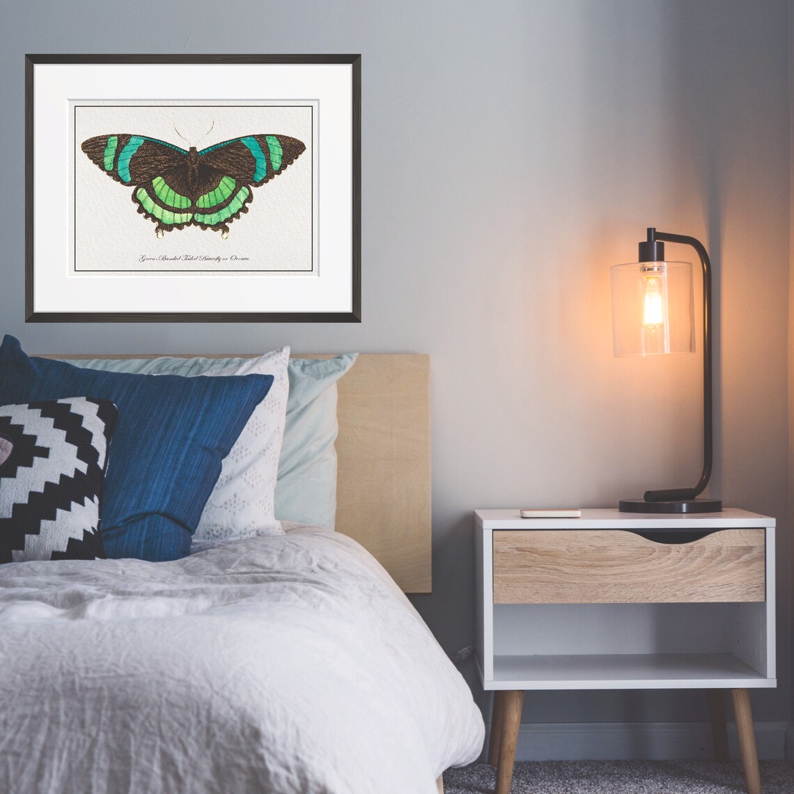 Vintage Green Banded Butterfly Natural History Illustration Poster - Image 3