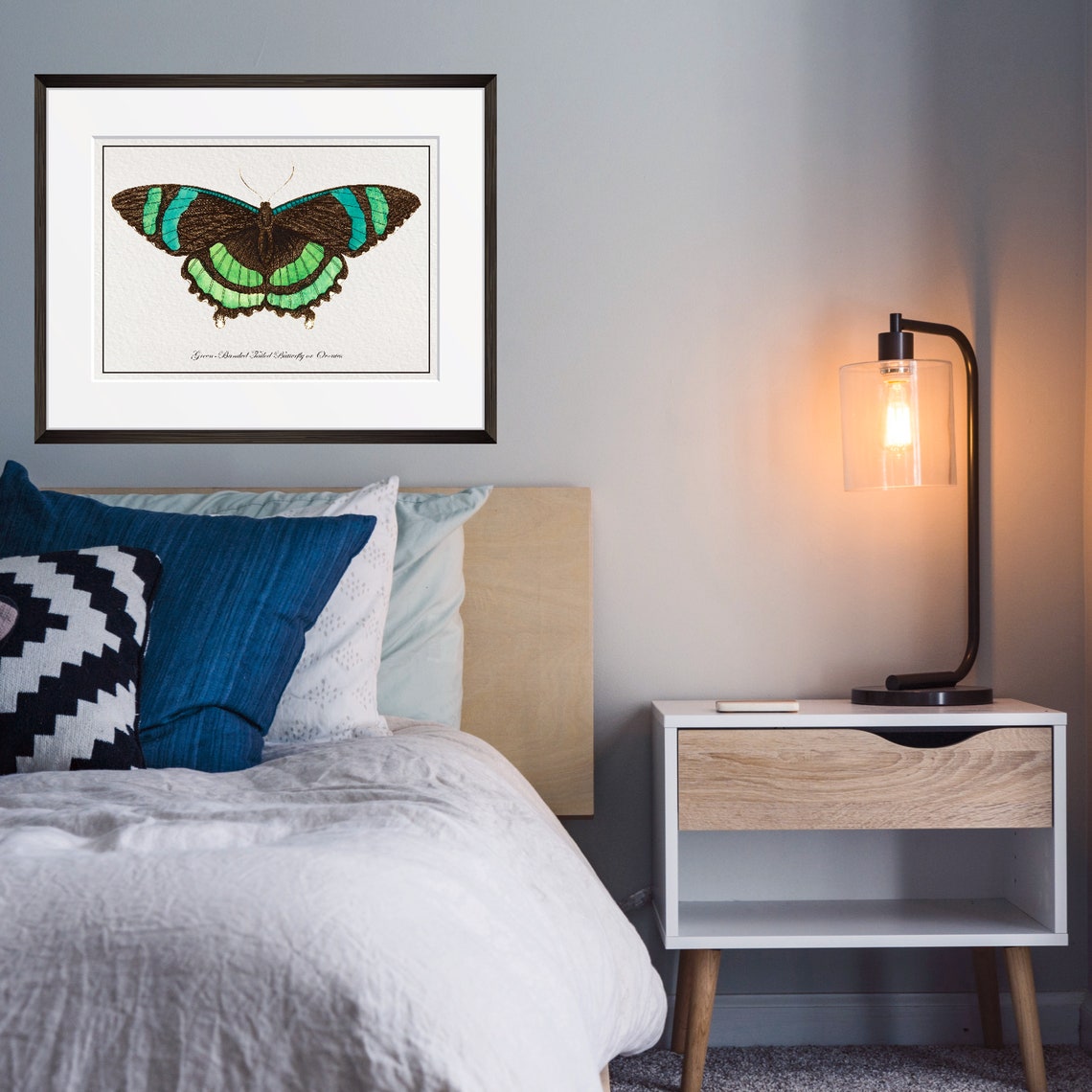 Vintage Green Butterfly Art Print From 18th Century Natural History Publication - Image 3
