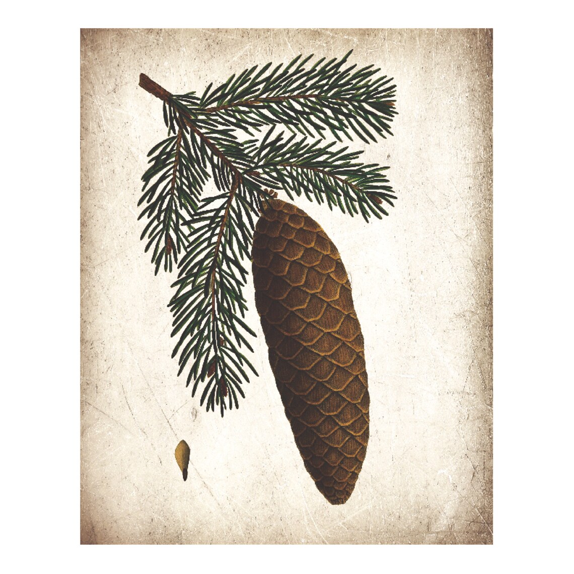 Vintage Pine Cone Rustic Nature Art Print - Image 4