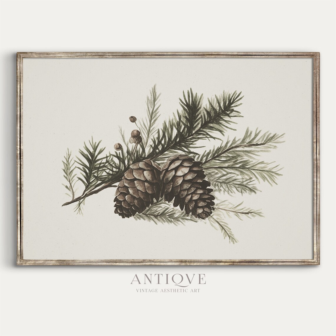 Winter Pinecones Christmas Botanical Rustic Art Print