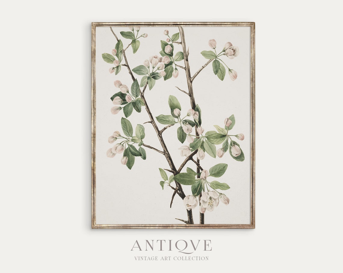 Vintage Flowers, Botanical Art Print