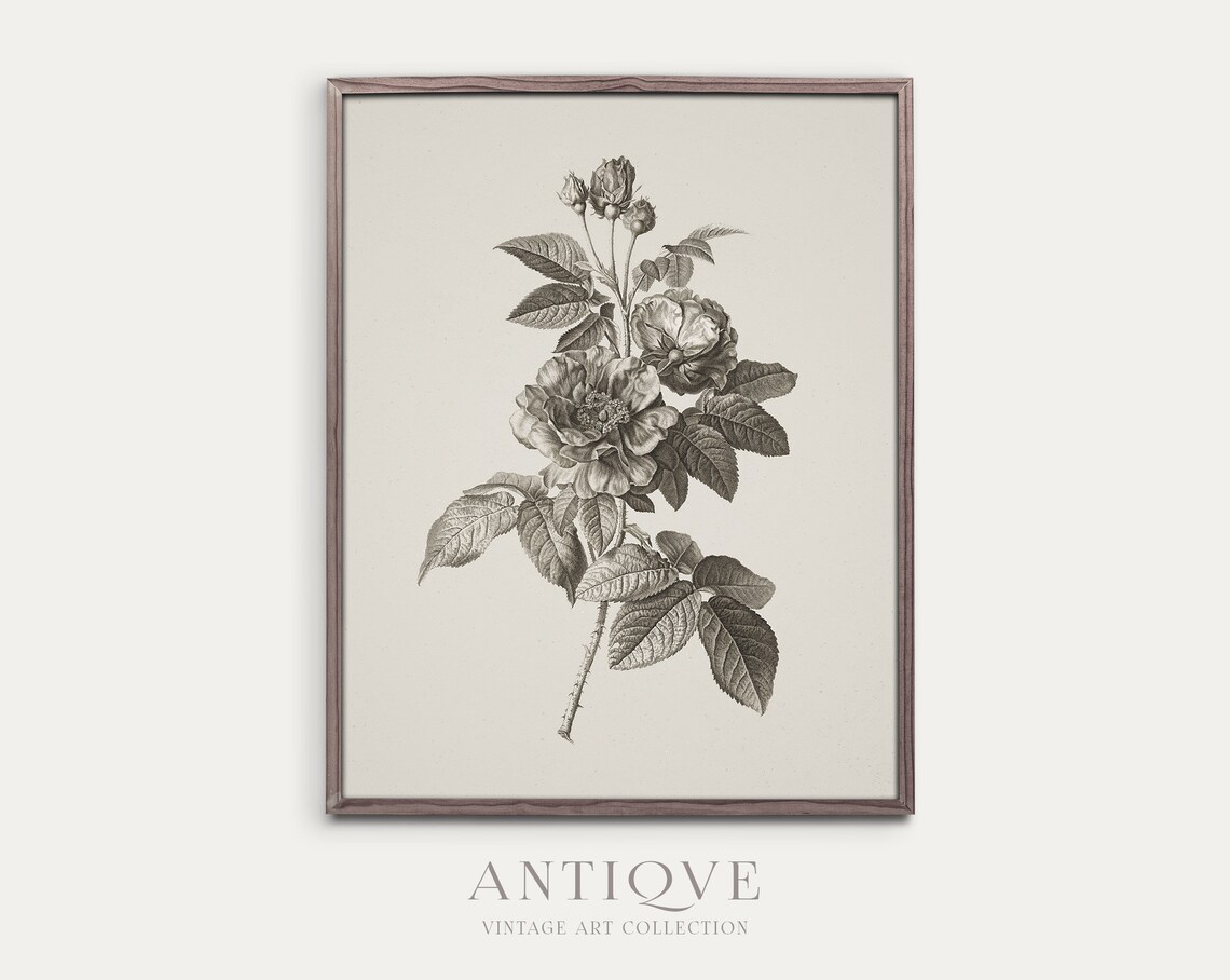 Neutral Floral Botanical Sketch Art Print