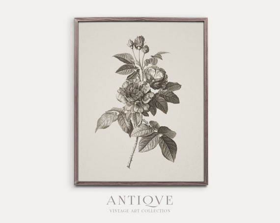 Neutral Floral Botanical Sketch Art Print