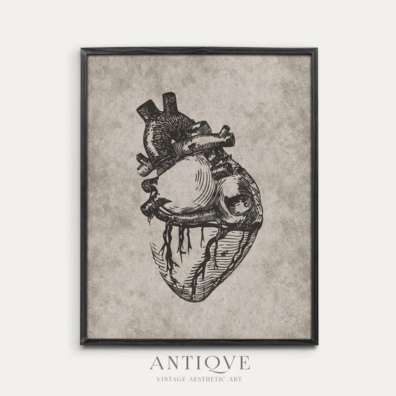 Vintage Anatomical Heart Sketch, Gothic Rustic Art Print