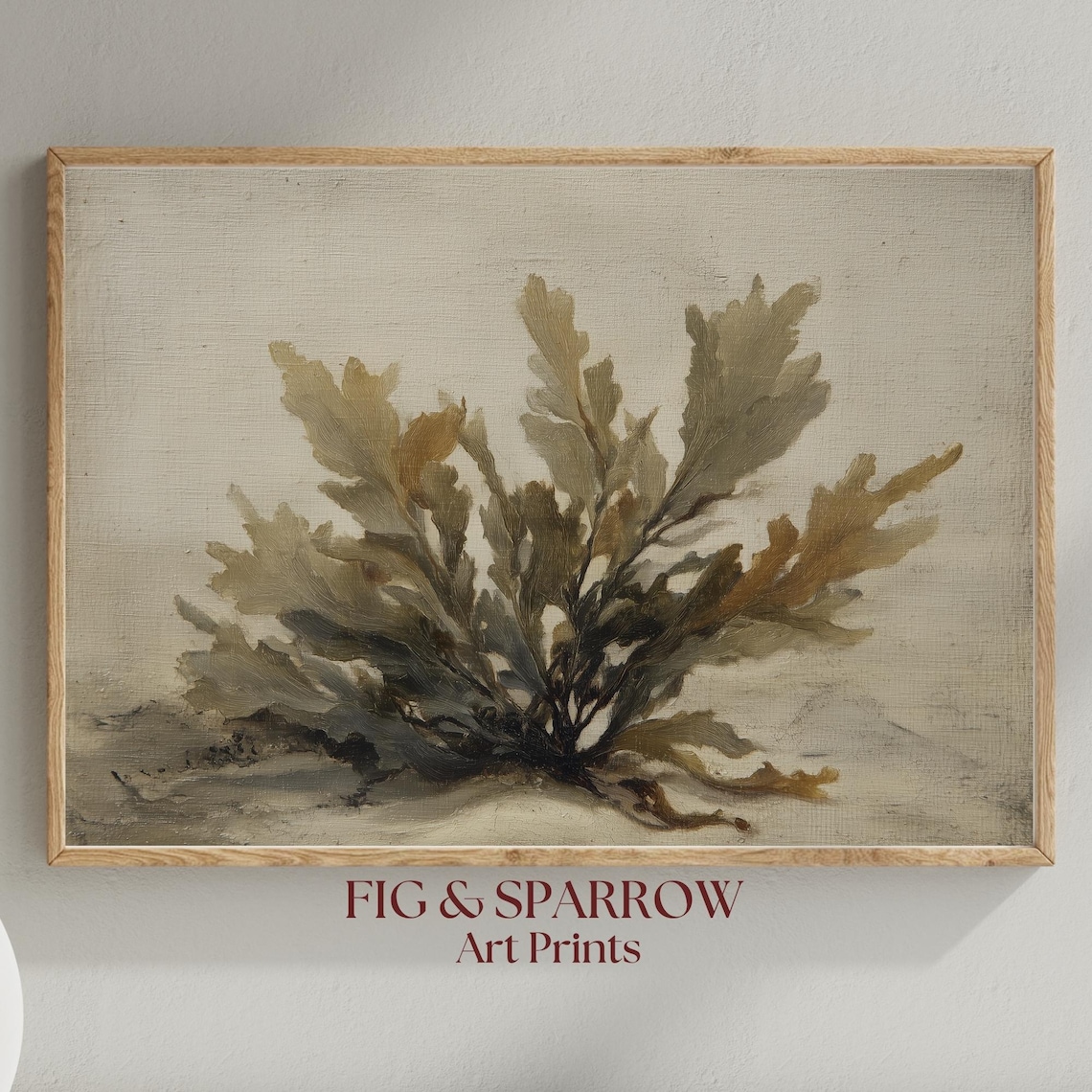 Vintage Seaweed Botanical Print Coastal Ocean Wall Art