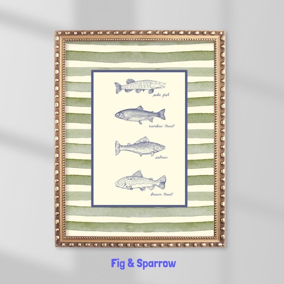 Vintage Fish Species Chart Green Stripe Pike Salmon Trout Art Print