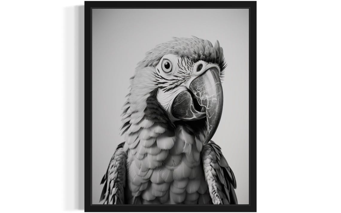 Macaw Parrot Head Close-Up Black and White Photography Art Poster