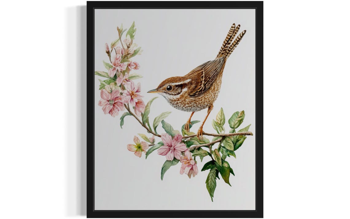 Pacific Wren on a Pink Blossom Branch Watercolor Bird Poster