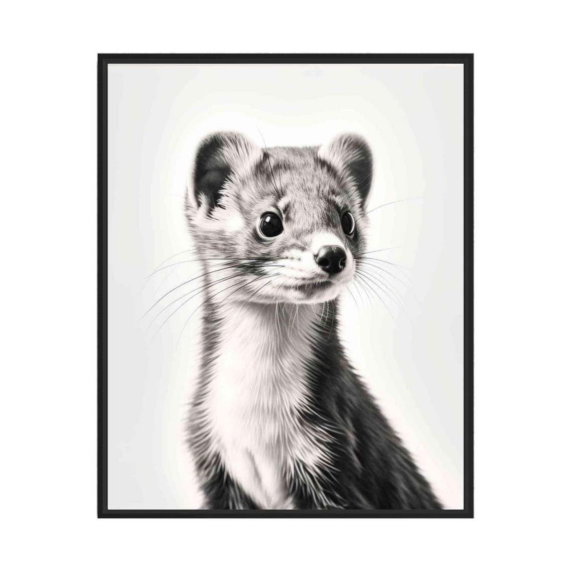 Stoat Black and White Close Up Curious Wild Weasel Portrait Poster