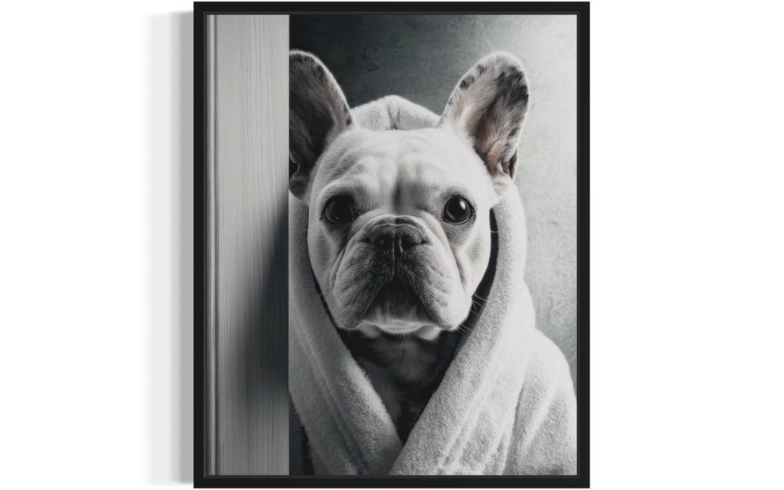 French Bulldog Bathrobe Wrapped Bathroom Peeking Funny Dog Poster