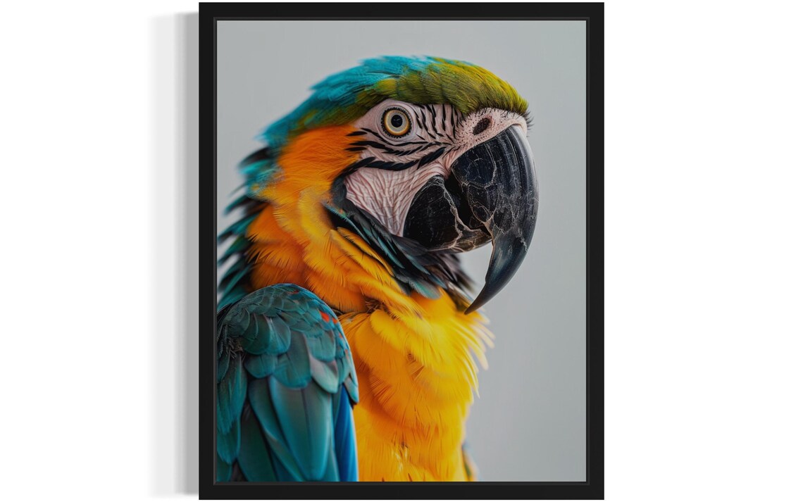 Blue-and-Yellow Macaw Head Profile Vibrant Color Photo Poster