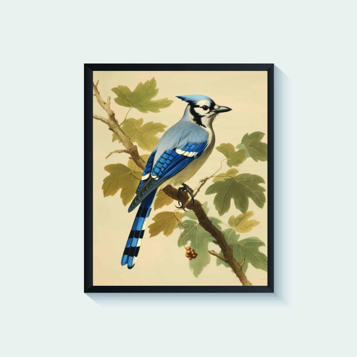 Blue Jay Perched on a Maple Branch with Berries Vintage Bird Poster
