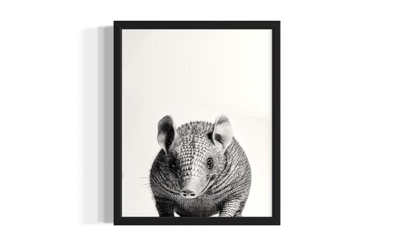 Armadillo Portrait Black and White Cute Wildlife Animal Poster