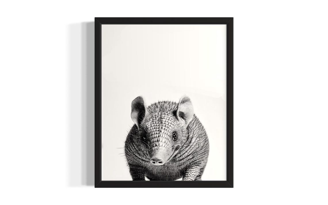 Armadillo Portrait Black and White Cute Wildlife Animal Poster