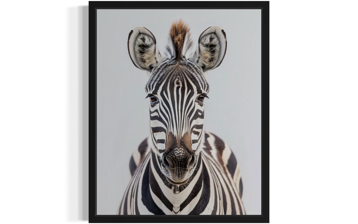 Curious Zebra Face Close-Up on Soft Gray Background Photo Poster