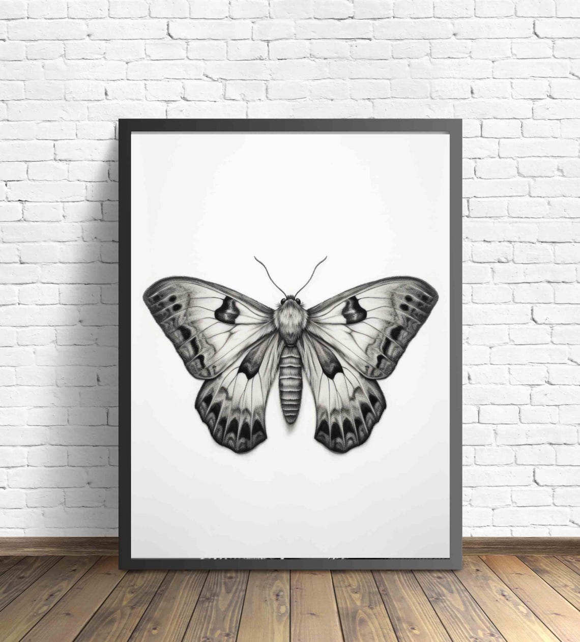 Moth Black And White Animal Art Print Wall Art Poster Original Paint Artwork Artwork Decor - Image 2