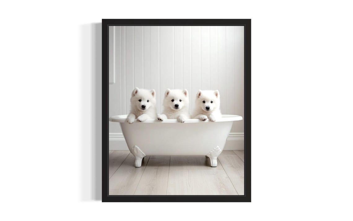 Three White Samoyed Puppies in White Bathtub Bathroom Portrait Poster