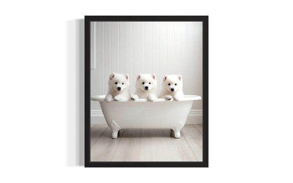 Three White Samoyed Puppies in White Bathtub Bathroom Portrait Poster