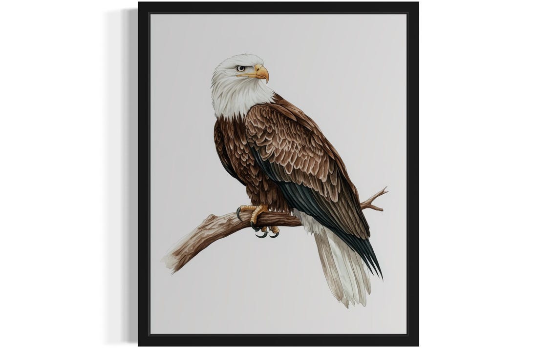 Bald Eagle Watercolor Perched on Branch Raptor Bird Wall Art