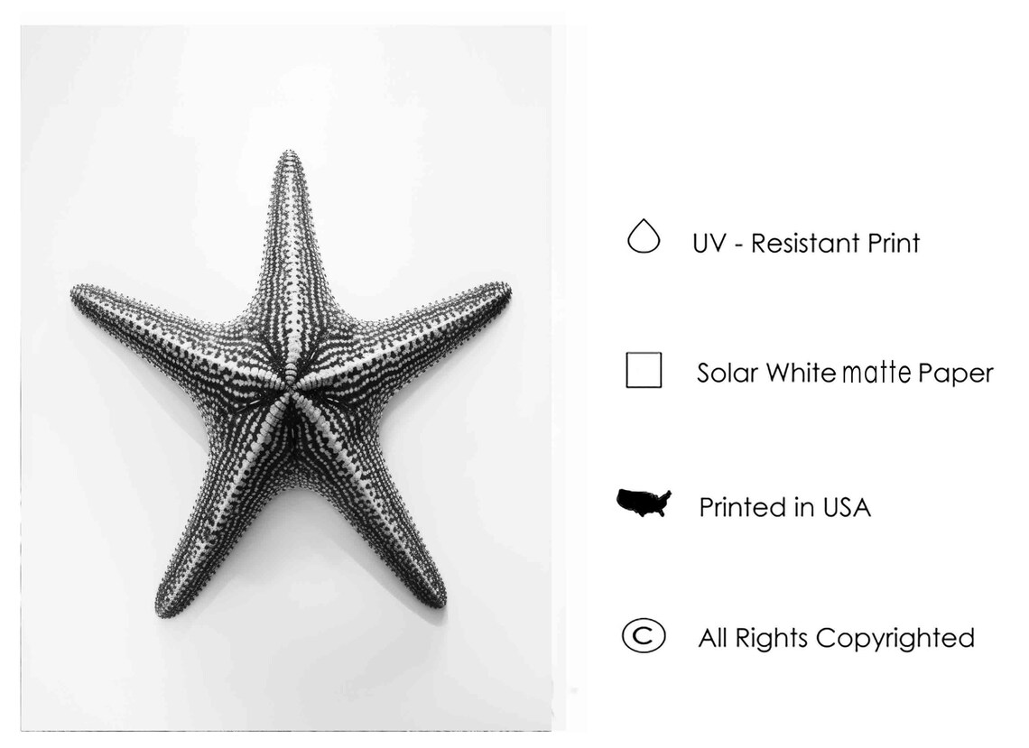 Starfish Black and White Sea Star Minimalist Coastal Art Poster - Image 3