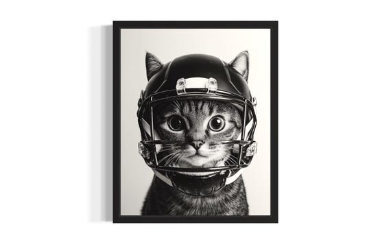 Cat Football Helmet Black And White Poster Art Print Living Room Wall Original Paint Artwork Decor