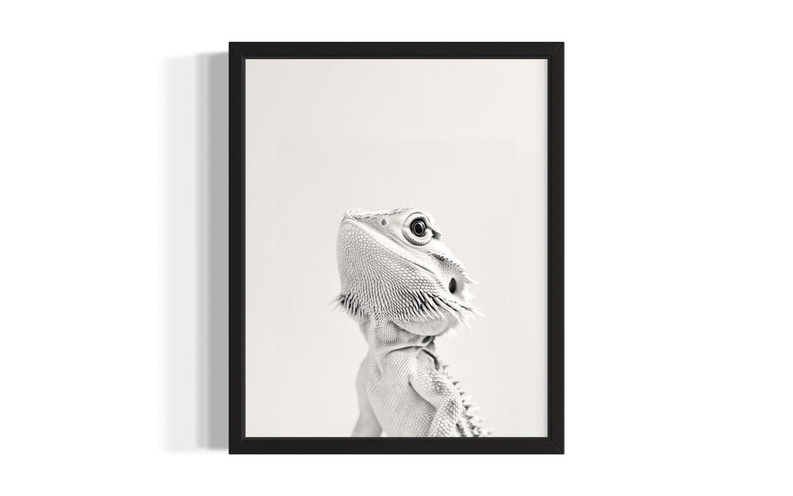 Bearded Dragon Animal Black And White Poster Art Print Living Room Wall Original Paint Artwork Decor