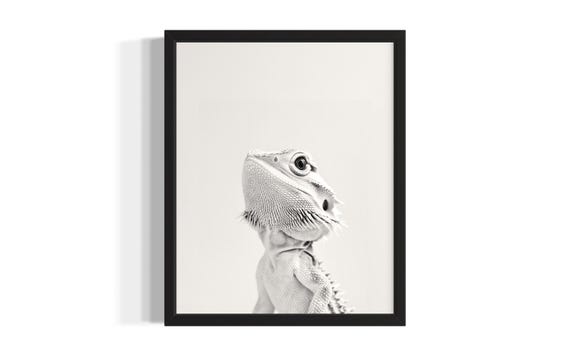 Bearded Dragon Animal Black And White Poster Art Print Living Room Wall Original Paint Artwork Decor