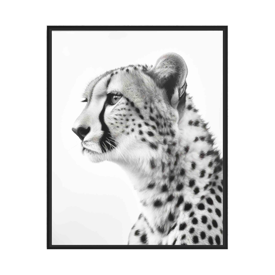 Graceful Cheetah in Profile Black and White Wildlife Portrait Poster