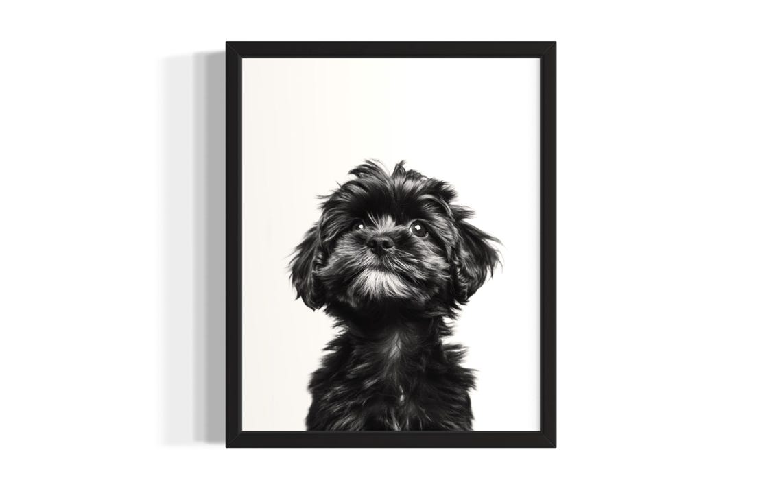 Fluffy Black Puppy Gaze Portrait Minimalist Nursery Animal Poster
