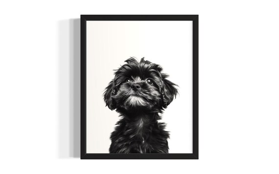 Fluffy Black Puppy Gaze Portrait Minimalist Nursery Animal Poster