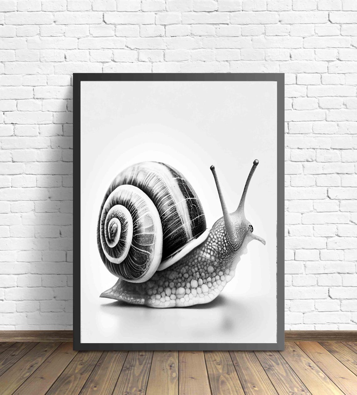 Snail Black and White Spiral Shell Macro Garden Portrait Poster - Image 3