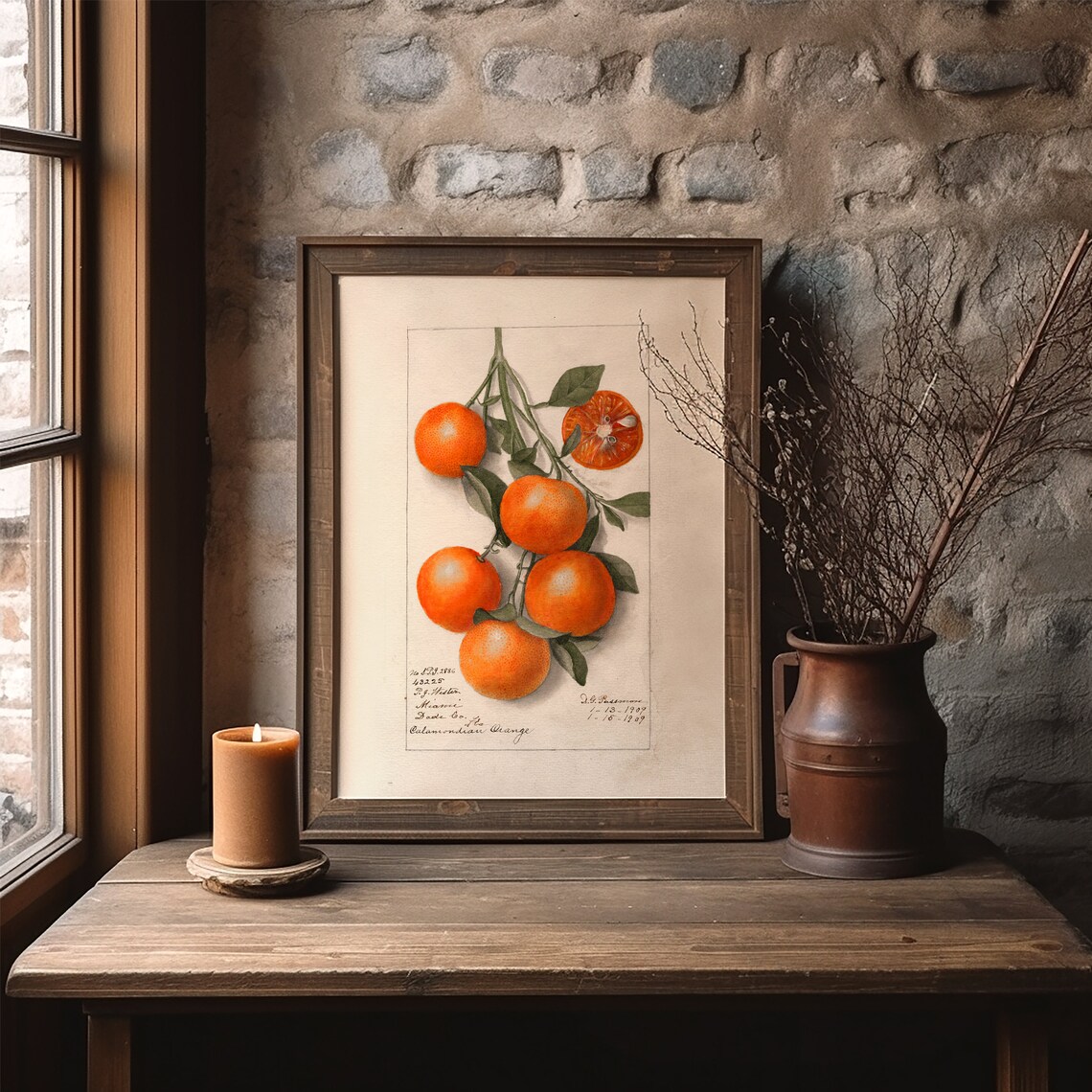 Vintage Orange Botanical Fruit Art Print