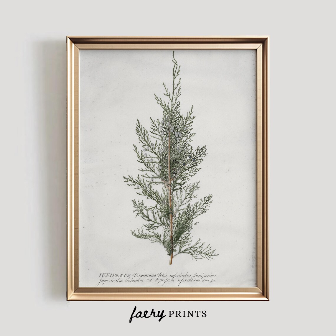 Juniper Tree Vintage Winter Art Print, Rustic Decor