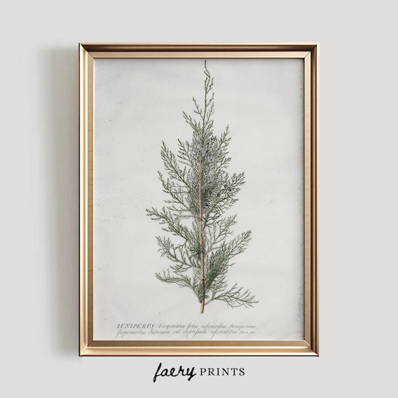 Juniper Tree Vintage Winter Art Print, Rustic Decor
