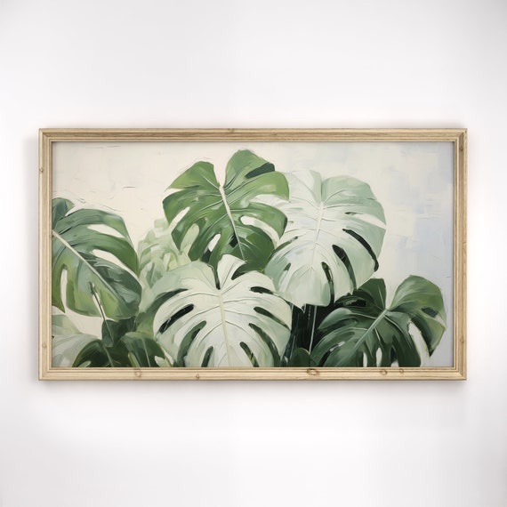Monstera Albo Frame Tv Art House Plant Variegated Leaves Spring Home Decort Tropical Foliage Lover Tv126