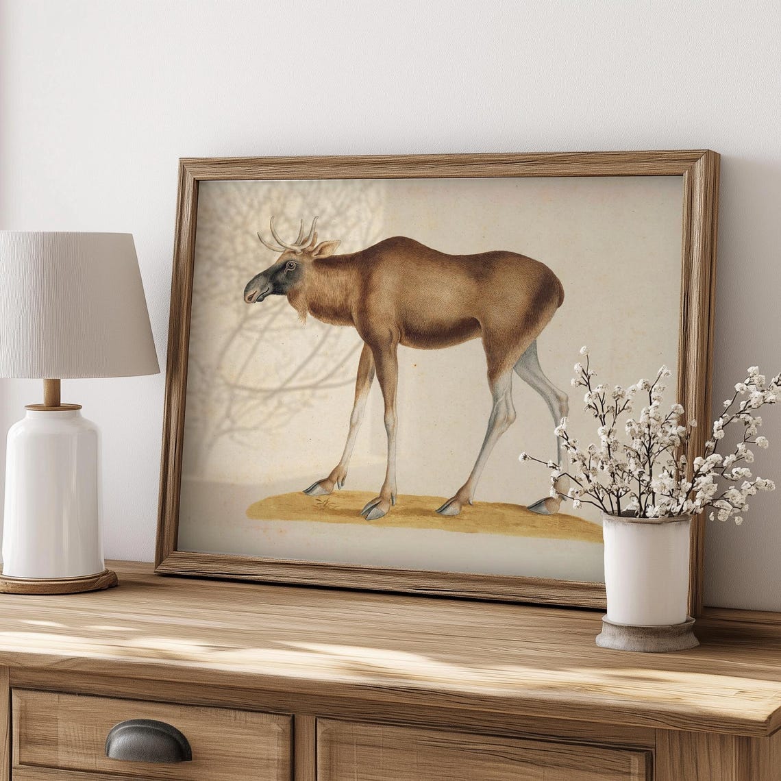 Vintage Elk Natural History Illustration Antique Animal Art Poster - Image 4