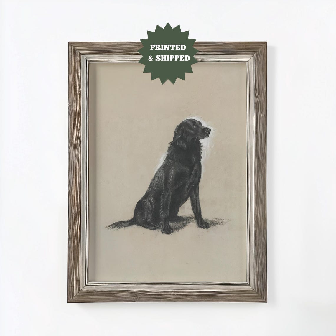 Black Spaniel Dog Charcoal Sketch Portrait Vintage Animal Print