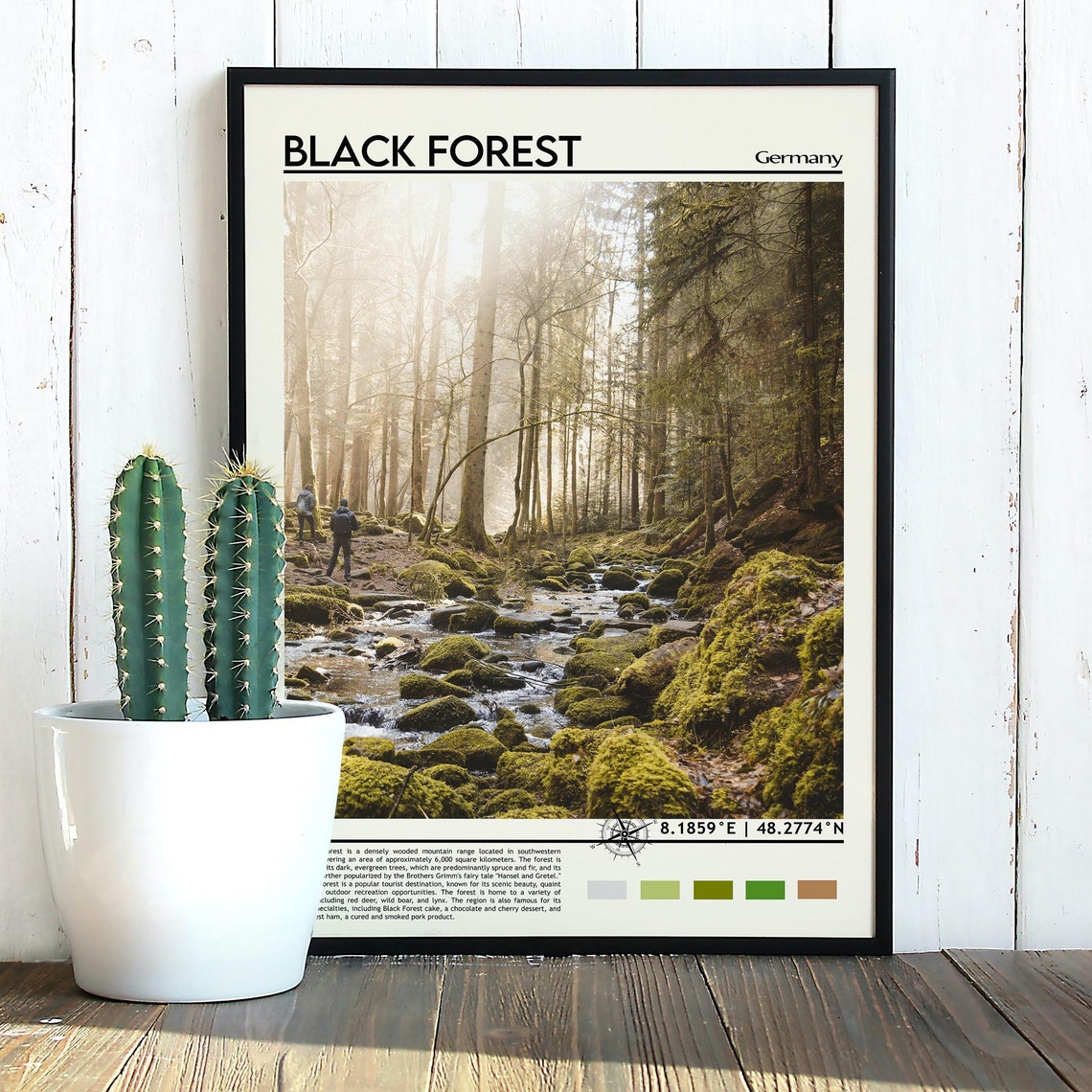 Black Forest Germany Mossy Stream Forest Hiking Trail Poster - Image 5
