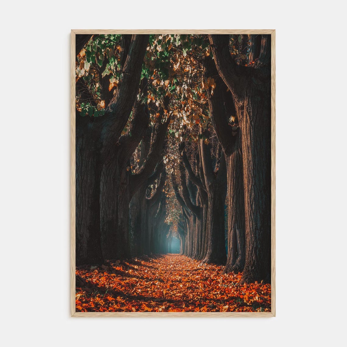Autumn Tree Lined Avenue with Dark Trunks and Fall Leaves Poster