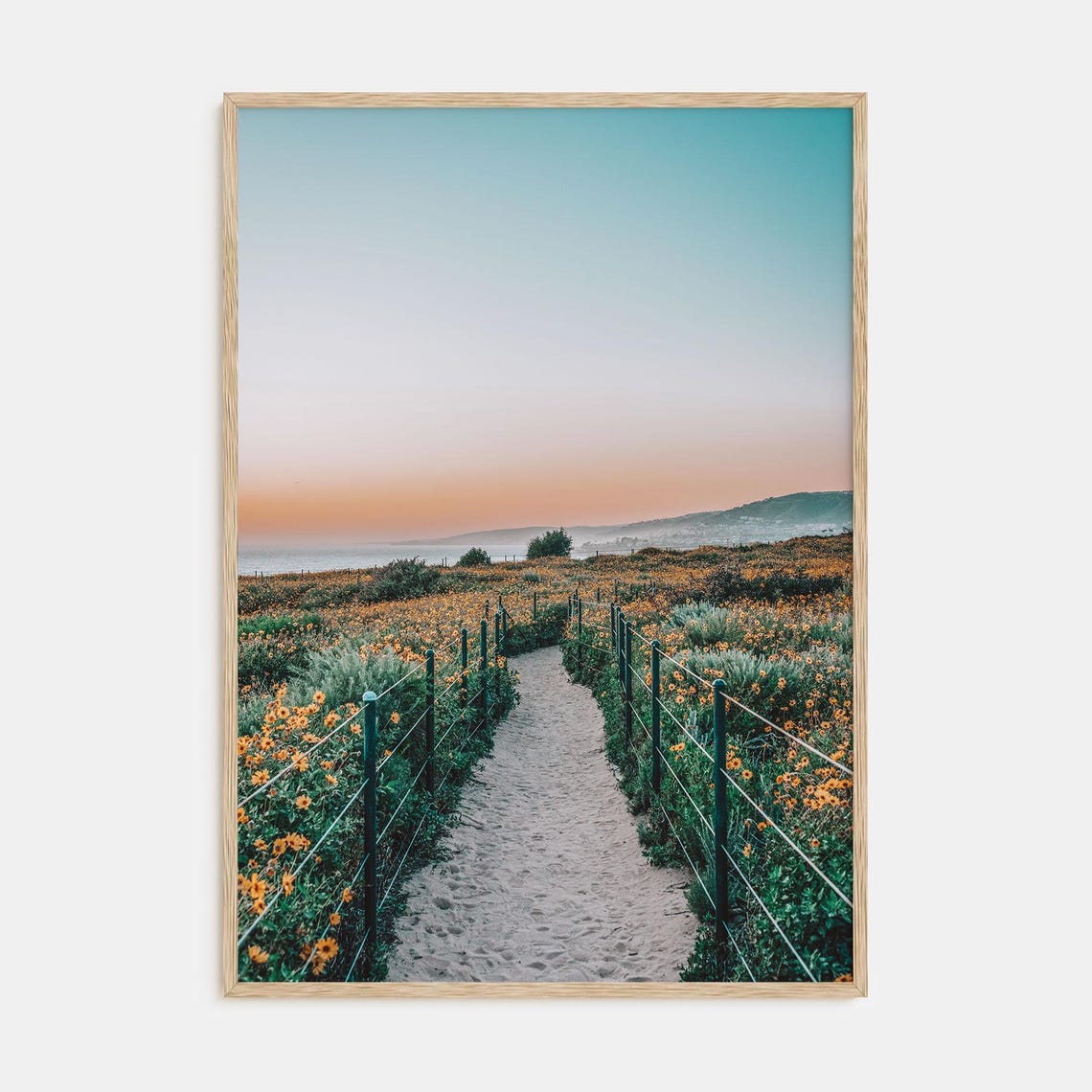 Sandy Beach Trail Through Wildflowers at Sunset Coastal Poster